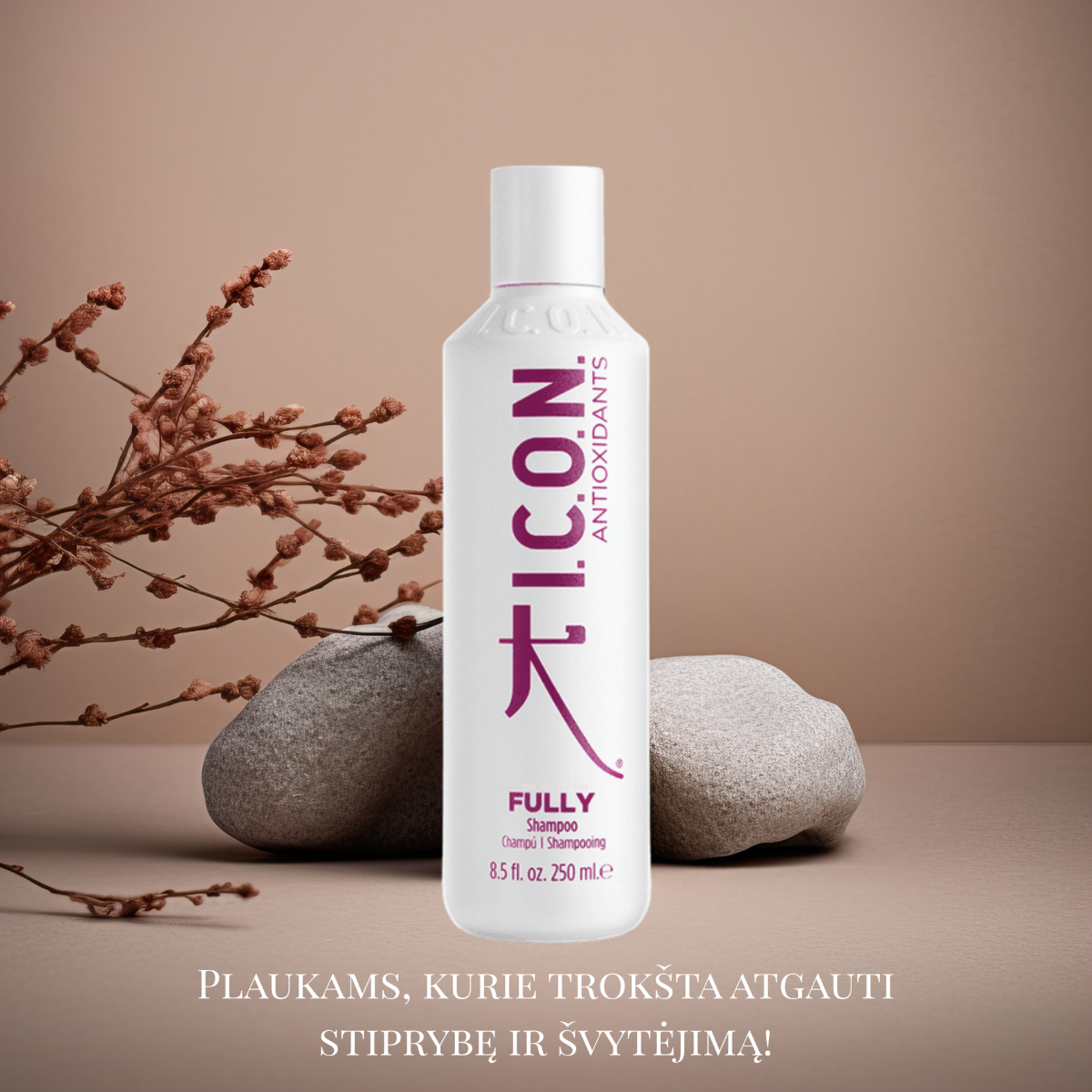 Maitinamasis šampūnas I.C.O.N. Fully 250 ml